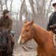 Image for article titled True Grit